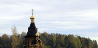 Псалтырь Избранные псалмы в русском переводе (Переведенные с Септуагинты)