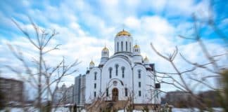 Слова Старца Паисия Святогорца: Духовное Пробуждение Том II