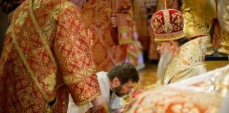 Антидор