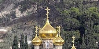 О болезнях
