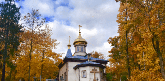 Воскресный день