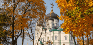 О вивекананде