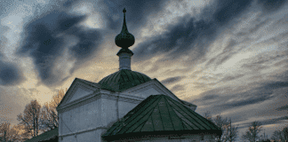 О метампсихозе