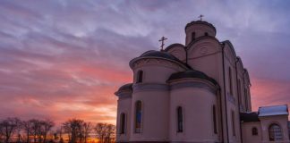 Альтернатива дарвиновской концепции эволюции