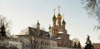 Продолжение рода
