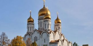 Ковчег – символ Церкви