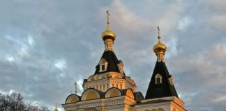 Новая жизнь